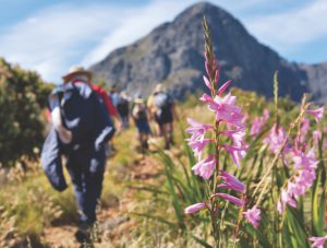 Alcohol abuse, Alcoholic, Rehab Cape Town, alcohol, drug rehab, gambling, sex, football, slots, porn, masturbation, eating, work, exercise, sugar, harmony clinic, cape town, south africa